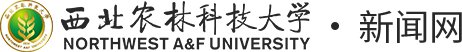 ab娱乐登录入口