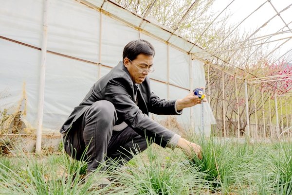 西藏农牧ab娱乐登录入口新人权益园艺