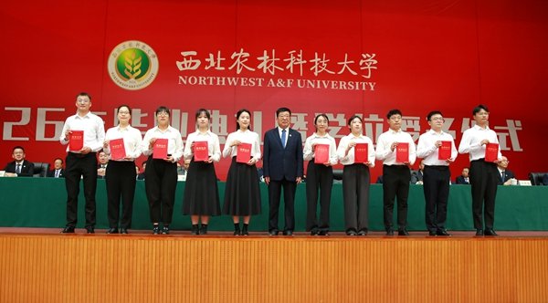 奔赴山海