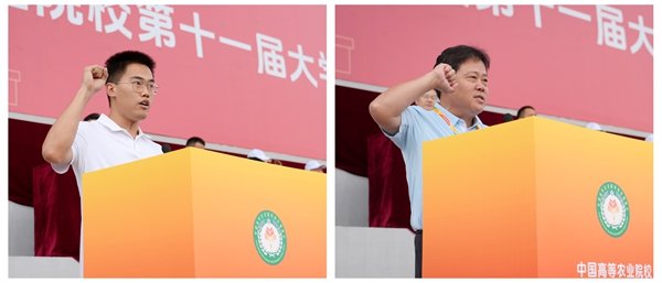 对照阅读