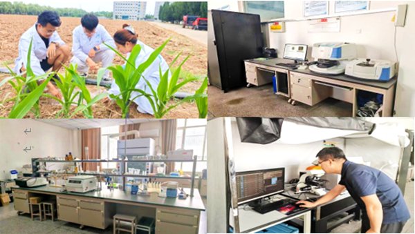 当地种植合作社负责人表示