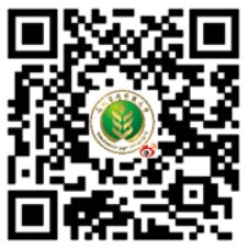 栏目用于追新