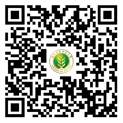 正文适合核对表述