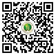 可结合站内栏目与相关篇目交叉阅读