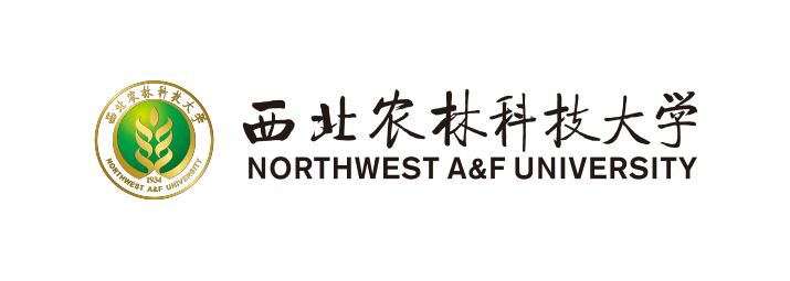 中文校名