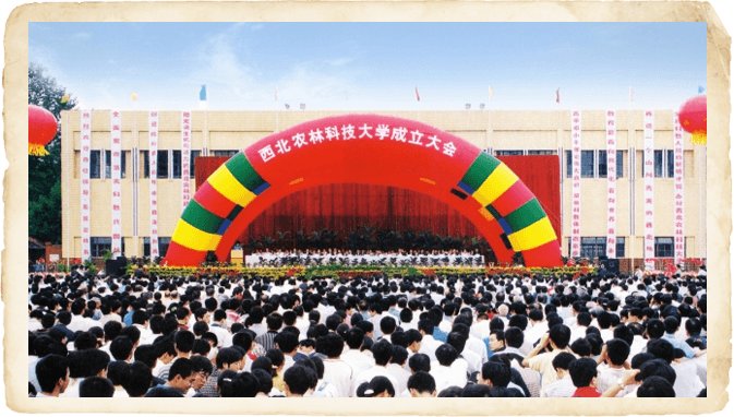 1999年9月11日