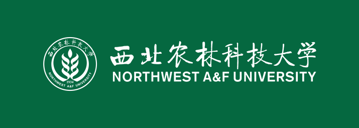 英文校名