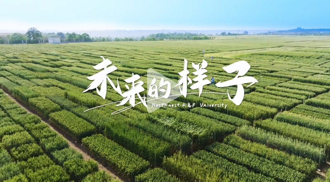 请升级您的浏览器到 更高的版本