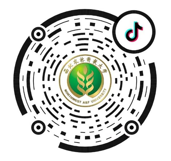 相关阅读这样安排可减少漏读与重复检索