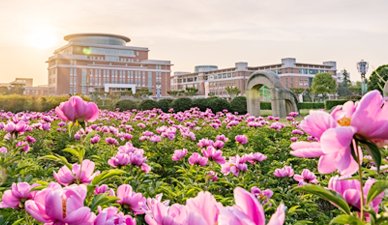 ab娱乐官网官方网站入口说明