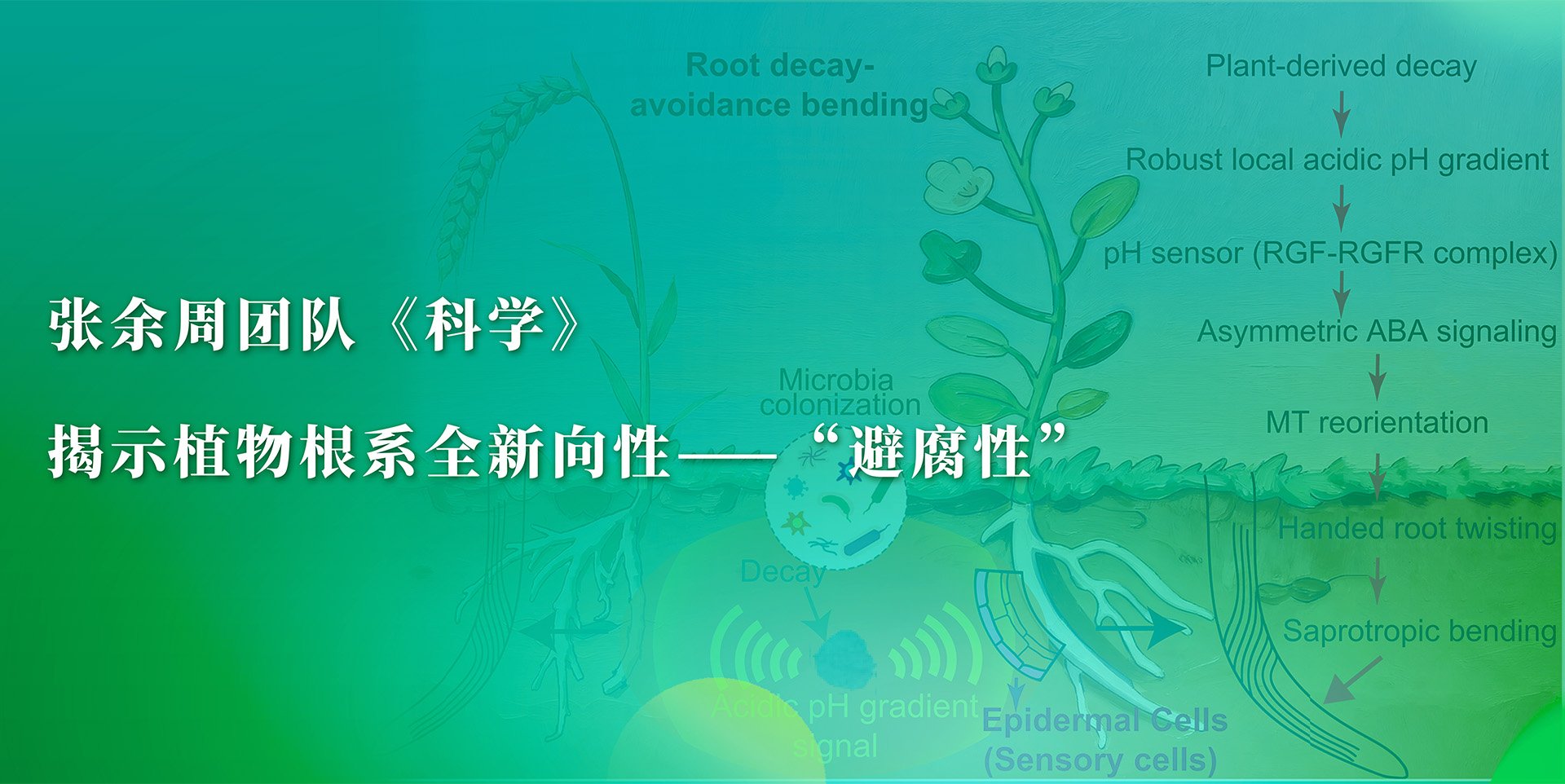可结合站内栏目与相关篇目交叉阅读