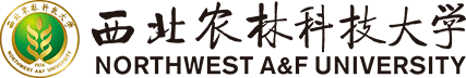 ab娱乐登录入口